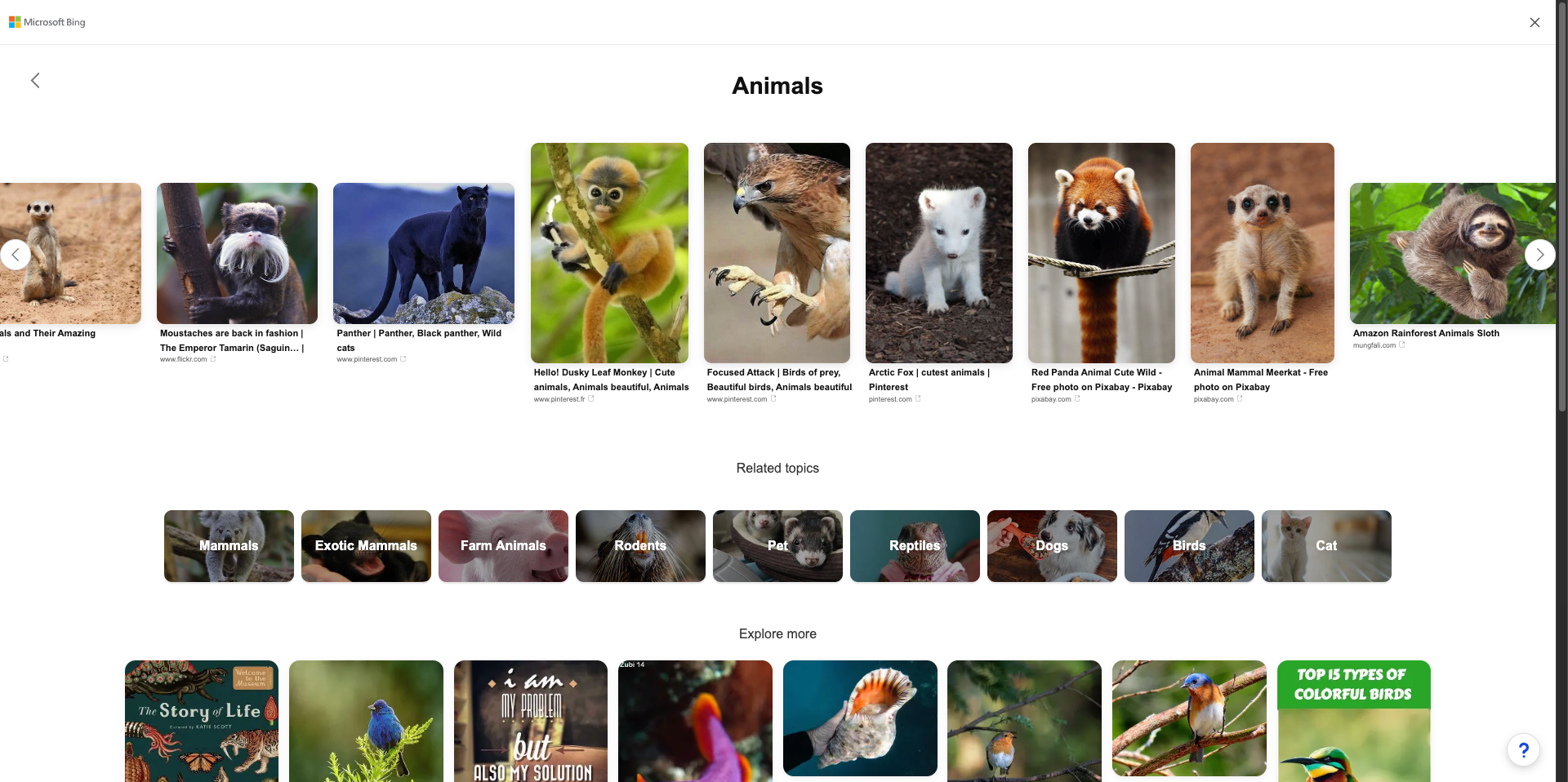 Bing Image feed
